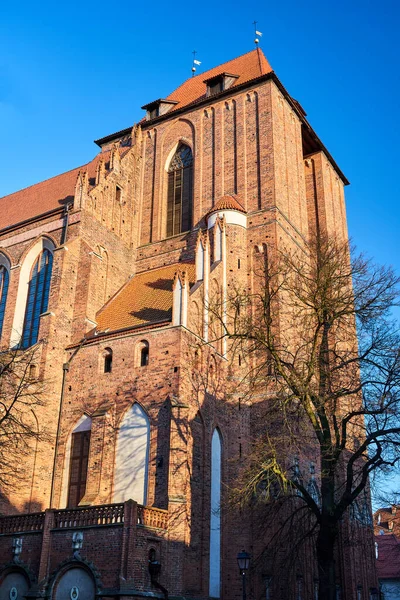 波兰托伦中世纪天主教教堂的历史钟楼 — 图库照片