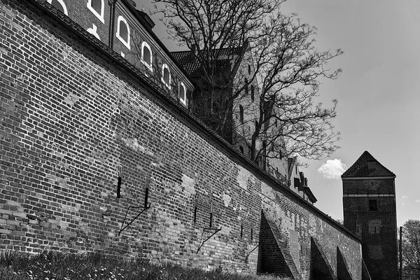 Историческая Оборонительная Стена Кирпичной Башней Городе Торунь Польше Монохромная — стоковое фото