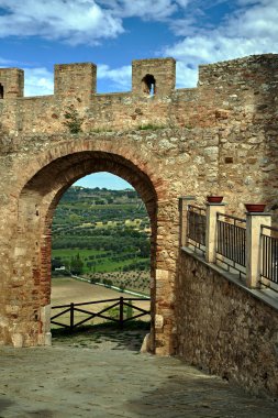 Tuscany, İtalya 'da zeytin mahsulleriyle dolu, kapısı ve kırsal arazisi olan taş savunma duvarı.