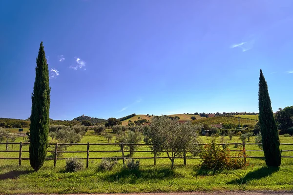 Landwirtschaftliche Landschaft Mit Oliven Und Den Türmen Der Stadt Auf — Stockfoto