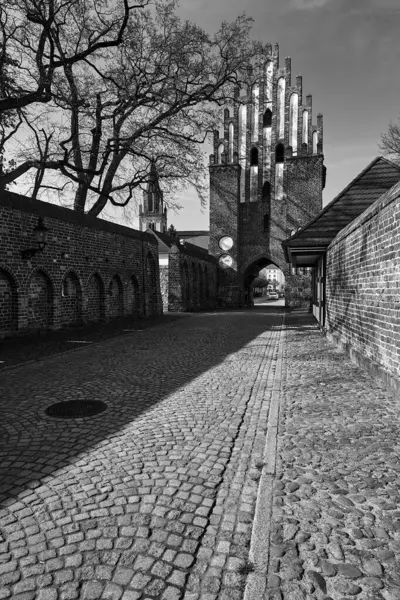City Gate Medieval Fortification Neuebrandemburg Germany Monochrome — Photo