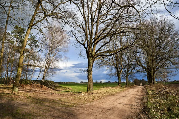 Krajobraz Wiejski Piaszczystą Drogą Drzewami Deszczowy Dzień Wiosną Polsce — Zdjęcie stockowe