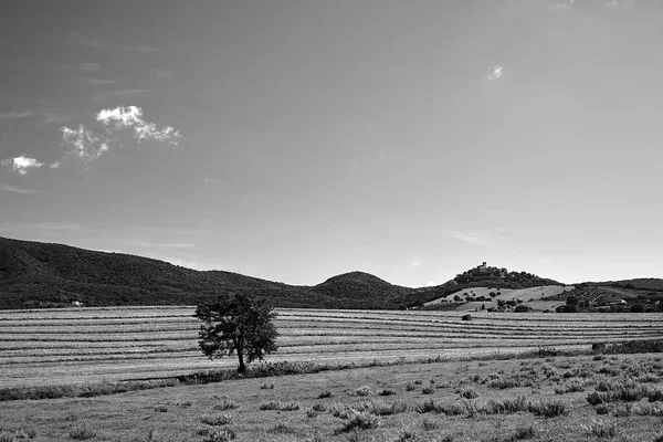 Rural Landscape Historic Castle Tower Top Hill Tuscany Italy Monochrome — Stock Photo, Image