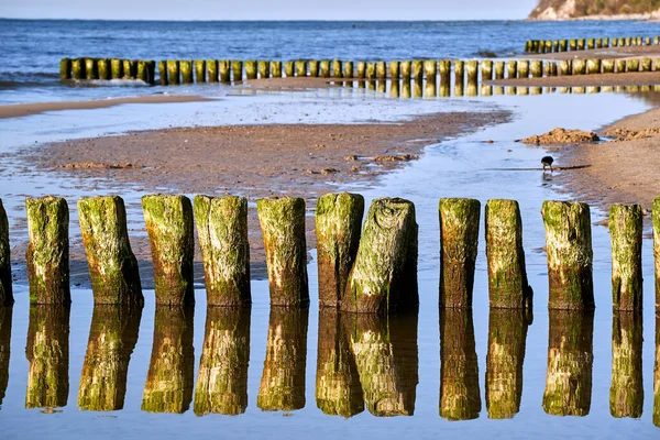 波兰沃林岛沙滩上的一系列木制防波堤 — 图库照片