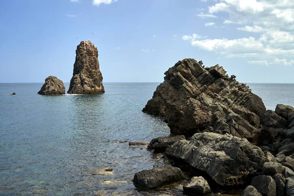Sicilya Talya Kiklops Sahilinde Kayalık Adalar Deniz Kuşları — Stok fotoğraf