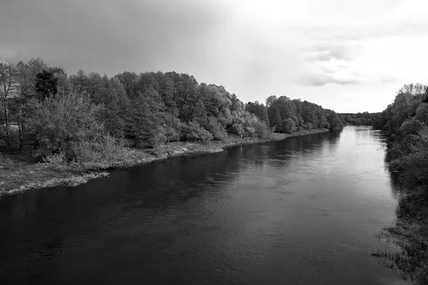 Deciduous Forest Wide Spread Warta River Poland Monochrome — Zdjęcie stockowe