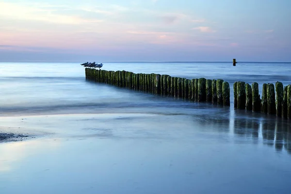 Γλάροι Που Κάθονται Μια Ξύλινη Θάλασσα Μια Αμμώδη Παραλία Στο — Φωτογραφία Αρχείου