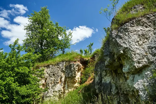 Limestone Rocks Old Quarry Overgrown Trees Bushes Poland — Stock Photo, Image