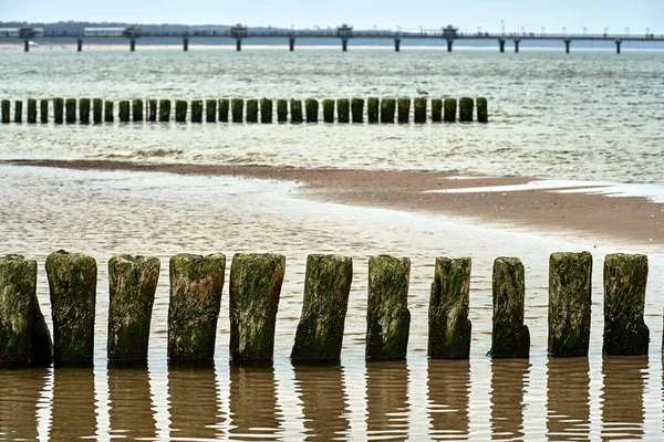 波兰沃林岛沙滩上的一系列木制防波堤和一个码头 — 图库照片