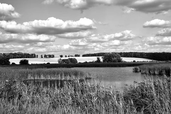 ポーランドの夏の間 葦と湖のある農村風景 モノクロ — ストック写真