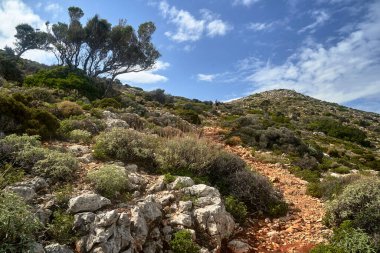 Yunanistan 'ın Girit adasındaki Akrotiri Yarımadası' ndaki dağ yolunda bir yürüyüşçü.