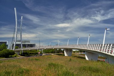 Kablo destekli köprü - Polonya 'nın Poznan şehrinde yayalar ve bisikletler için bir yaya köprüsü