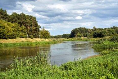 Yaz boyunca Warta nehri ve ormanı ile kırsal alan: Polonya