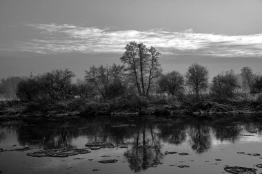 Kış akşamları Varta Nehri 'nde karla kaplı çalılar ve ağaçlar, Polonya, tek renk.