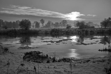 Kış akşamları Varta Nehri 'nde karla kaplı çalılar ve ağaçlar, Polonya, tek renk.
