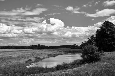 Polonya 'da yaz boyunca gölet, çayır ve ormanlı tarım manzarası, tek renk.