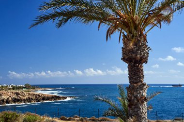 Akdeniz 'in kayalık kıyıları, Kıbrıs Rum Kesimi' nde karaya vuran bir ticaret gemisinin palmiye ağaçları ve enkazı