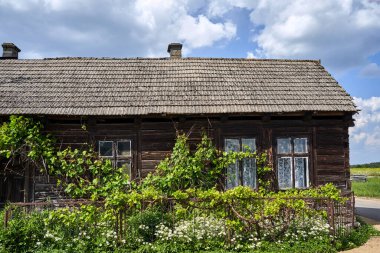 traditional wooden historic house covered with vines in the Polish countryside, Poland clipart