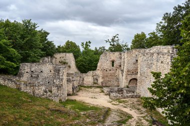 Polonya 'nın Smolen kentindeki ortaçağ Pilcza kalesinin kalıntıları.