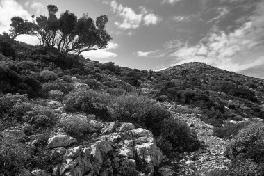 Yunanistan 'ın Girit adasındaki Akrotiri Yarımadası' ndaki dağ yolunda tek renkli yürüyüşçü.