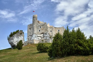 Polonya 'nın Mirow kasabasındaki kireçtaşı kayalıklarındaki ortaçağ şatosunun kalıntıları.