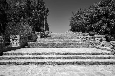 taş, tarihi, Paphos kasabasında restore edilmiş merdivenler, Kıbrıs, tek renk