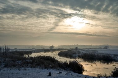 Kış akşamları Varta Nehri 'nde karla kaplı çalılar ve ağaçlar, Polonya