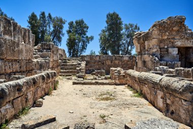 Kıbrıs Cumhuriyeti 'nin Phapos kentindeki arkeoloji parkındaki antik binaların yıkıntıları arasında taş basamaklar
