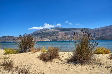 Yunanistan 'ın Kefalonia adasındaki Paliki Körfezi' nin kumlu sahilindeki çimenler