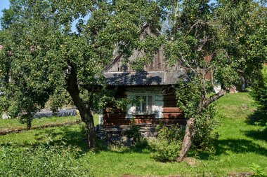 Polonya 'nın Beskidy Dağları' ndaki geleneksel ahşap bir kulübede meyve ağaçları.