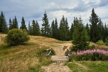 Wooden bridge on a tourist trail on Pilsko Mountain in the Beskids, Poland clipart