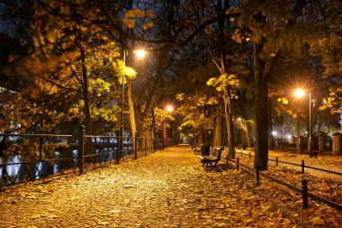 Polonya 'nın Wroclaw şehrinde gece vakti gölün kenarında fener ve bankların olduğu bir park sokağı.