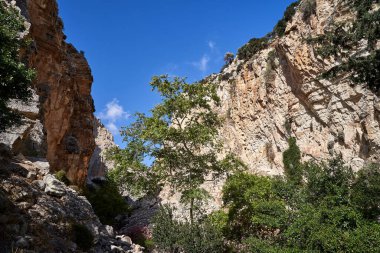 Kıbrıs Rum Kesimi 'ndeki Avakas Vadisi' nin kayaları ve engebeli kayaları