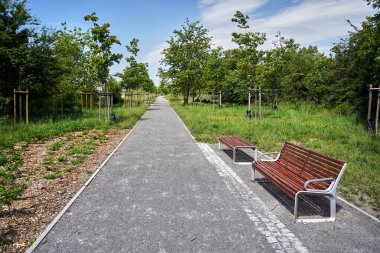 Poznan, Polonya 'da bir şehir parkında yürüyüş yolu ve ahşap banklar