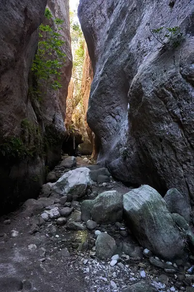 Kıbrıs Rum Kesimi 'ndeki Avakas Vadisi' nin kayaları ve sarp kayaları