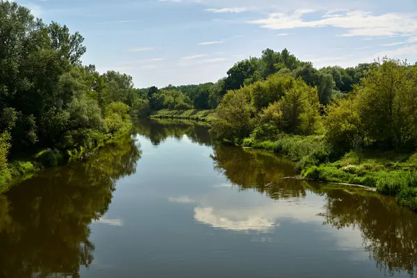 Yaz boyunca Warta nehri ve ormanı manzarası, Polonya