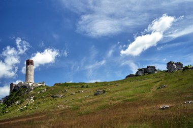 Polonya, Olsztyn 'de bir kulesi olan bir ortaçağ şatosunun kireçtaşı kayaları ve kalıntıları.