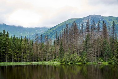Buzul Gölü Smreczynski Staw İlkbaharda Tatra dağlarında, Polonya