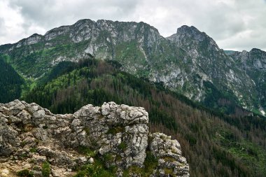 Polonya, Tatras 'taki kireçtaşı kayaları ve dağ zirvesi Giewont.