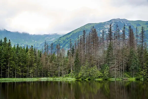 Buzul Gölü Smreczynski Staw İlkbaharda Tatra dağlarında, Polonya