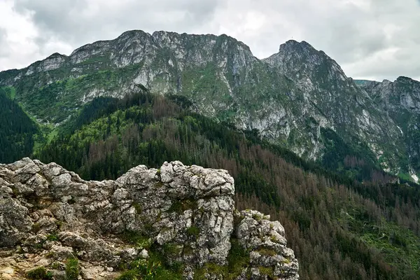 Polonya, Tatras 'taki kireçtaşı kayaları ve dağ zirvesi Giewont.