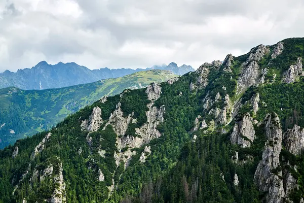 Polonya 'daki Tatra Dağları' ndaki kireçtaşı kayaları ve granit tepeler