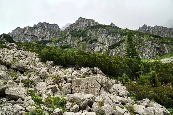 Polonya 'daki Tatra Dağları' nda kaya molozu ve kireç taşı sisli kayalar.