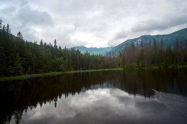 Polonya 'nın Tatra Dağları' nda bulutlu bir günde Buzul Gölü Smreczynski Staw