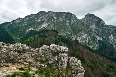 Polonya, Tatras 'taki kireçtaşı kayaları ve dağ zirvesi Giewont.