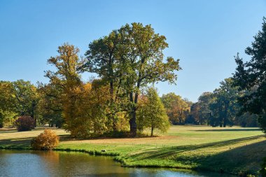 Nehir ve ağaçlar sonbaharda Almanya 'daki Muskauer parkının bahçesinde