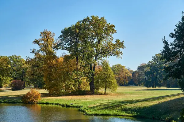 Nehir ve ağaçlar sonbaharda Almanya 'daki Muskauer parkının bahçesinde