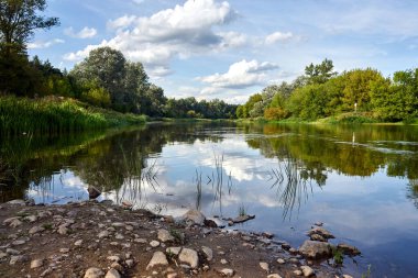 Yazın Warta Nehri kıyısındaki kayalar ve yaprak döken orman, Polonya