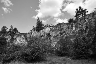 Ağaçlar ve otobüsle kaplanmış eski bir taş ocağının kireçtaşı kayaları.