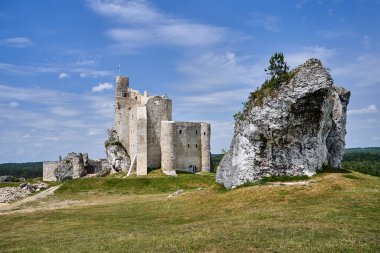 Polonya 'nın Mirow kasabasındaki kireçtaşı kayalıklarındaki ortaçağ şatosunun kalıntıları.